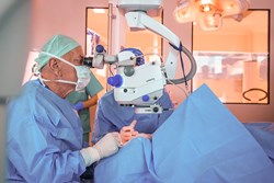 /cataratta-croazia/prof. dr. sc. Nikica Gabrić- SING IMT.jpg